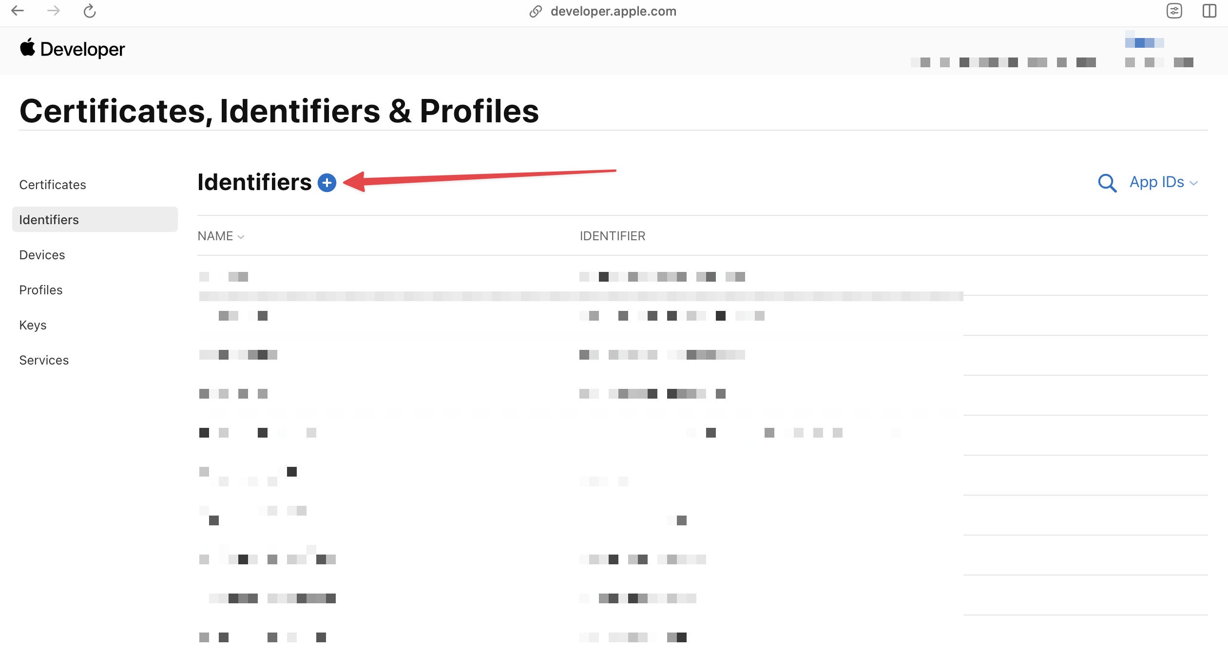 Apple Developer Console Identifiers